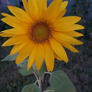 Meet your Posher, Dianna